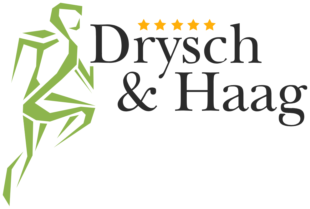 Logo Drysch & Haag – Kunde von Artur Schütz Photos